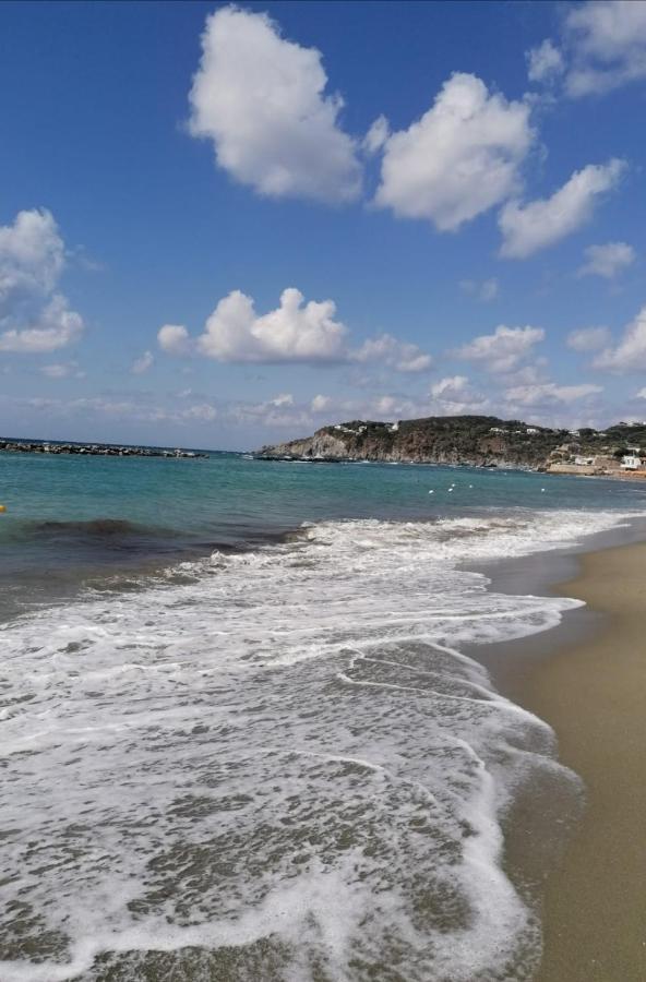 La Bicocca Di Annavi Forio (Isola d'Ischia) Exterior foto