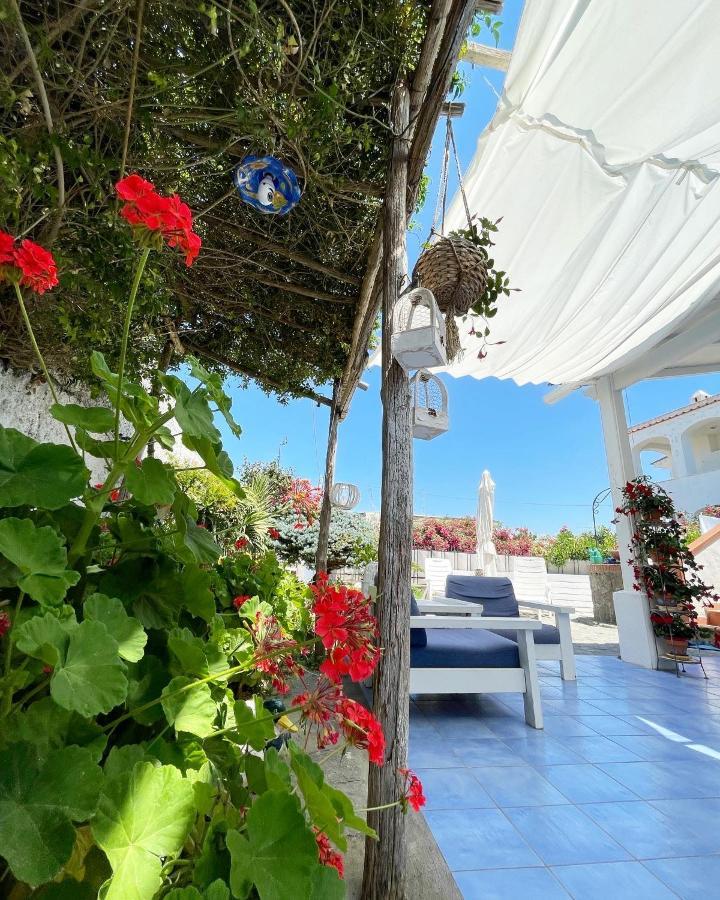 La Bicocca Di Annavi Forio (Isola d'Ischia) Exterior foto