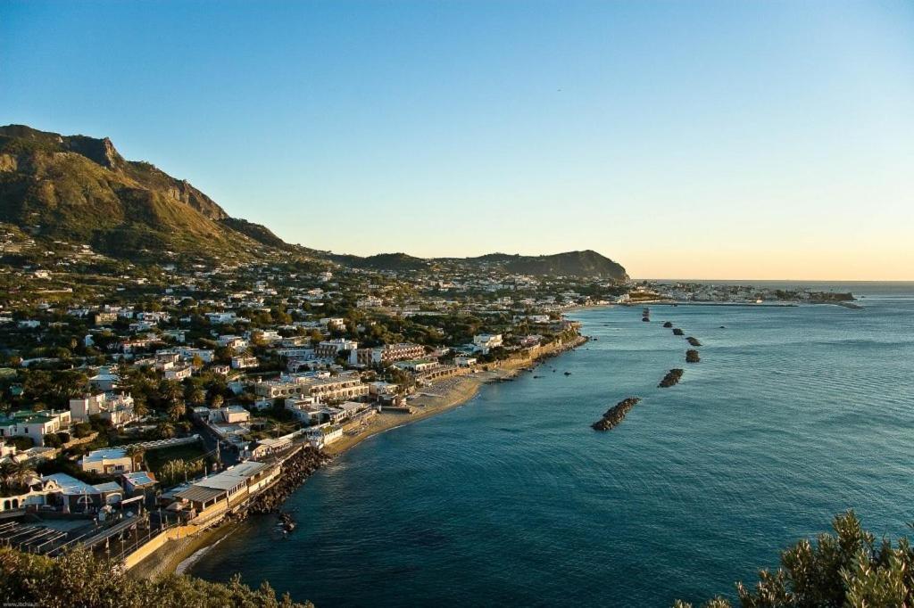 La Bicocca Di Annavi Forio (Isola d'Ischia) Exterior foto
